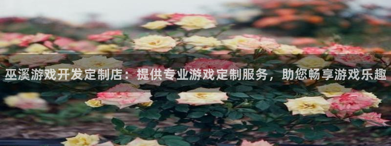 沐鸣娱乐客服：巫溪游戏开发定制店：提供专