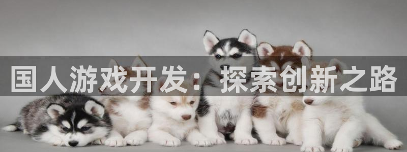 沐鸣1平台招商：国人游戏开发：探索创新之