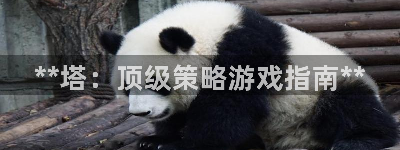 沐鸣科技做的游戏怎么样：**塔：顶级策略