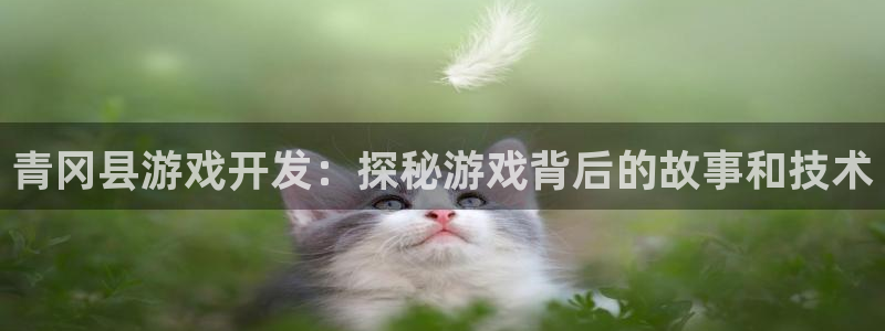 沐鸣平台代理注册多少钱一年啊：青冈县游戏