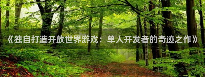 沐鸣平台app下载：《独自打造开放世界游