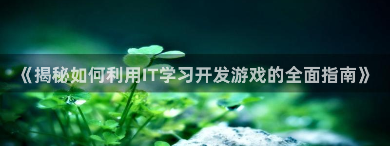 沐鸣科技有哪些产品：《揭秘如何利用IT学