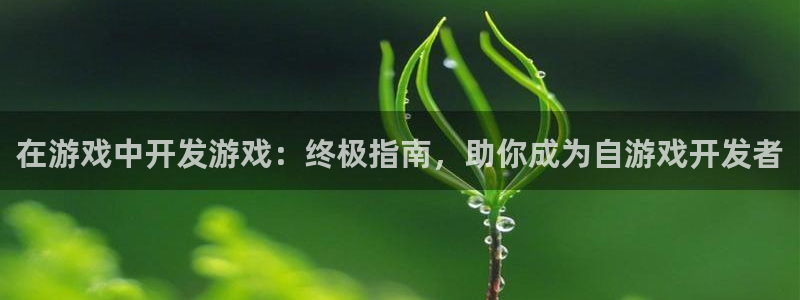 沐鸣娱乐平台登录：在游戏中开发游戏：终极