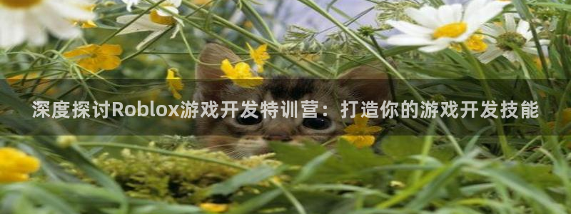 沐鸣科技有限公司招聘：深度探讨Roblo