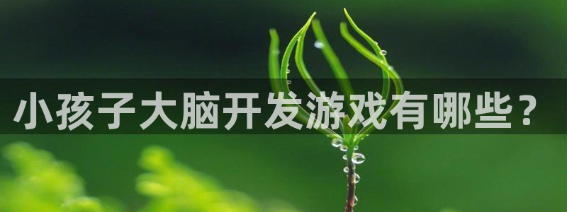 沐鸣1平台：小孩子大脑开发游戏有哪些？