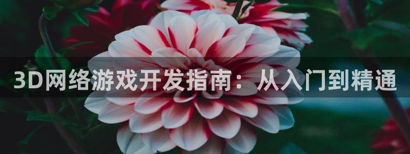 沐鸣开户测速：3D网络游戏开发指南：从入门到精通