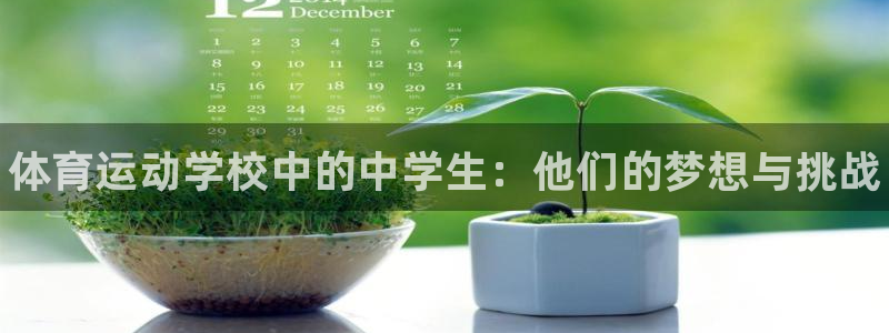 bbin视讯游戏平台