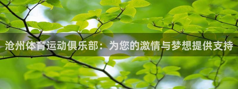 bbin视讯游戏官网
