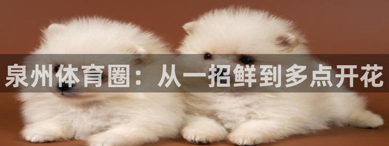 bbin视讯下