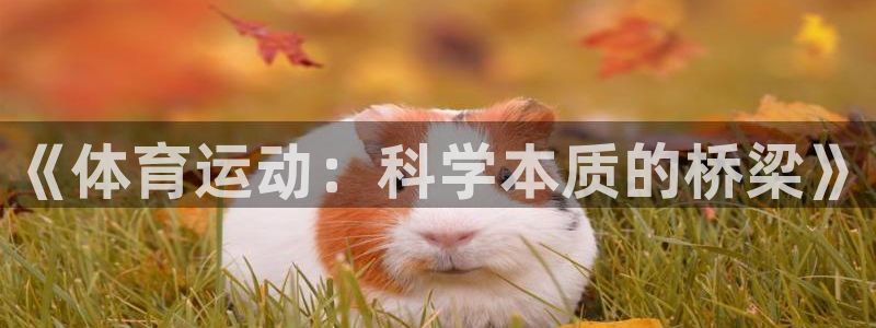 bbin视讯游戏平台
