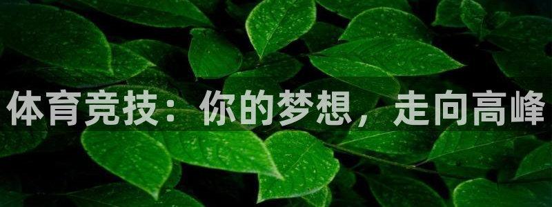 bbin视讯下