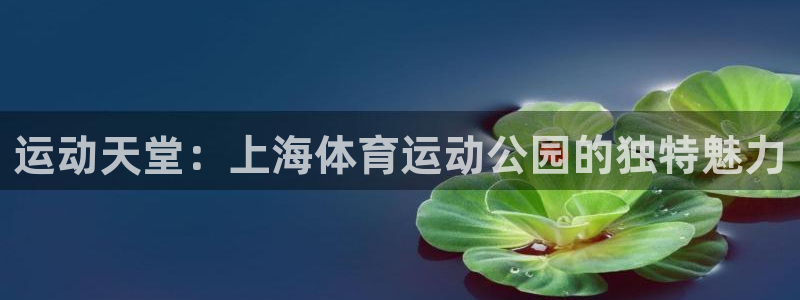bbin视讯下