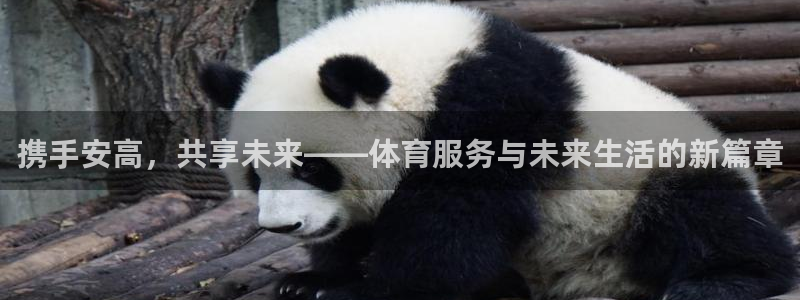 bbin视讯游戏平台