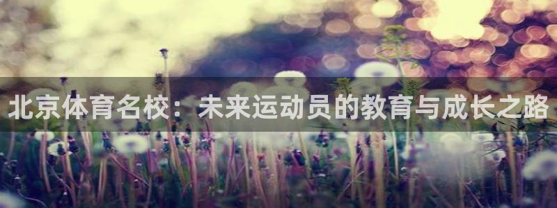 bbin视讯下