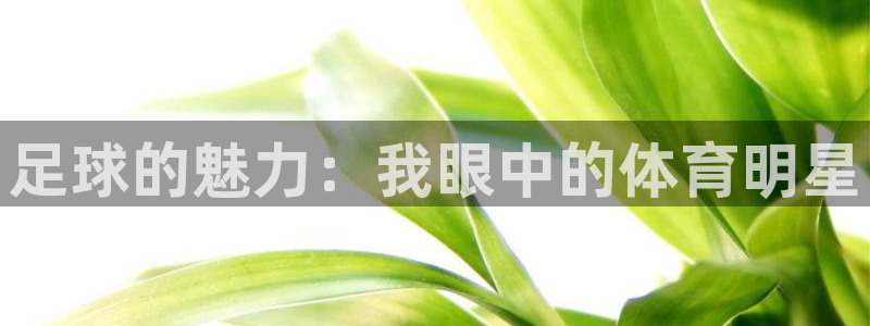 bbin视讯