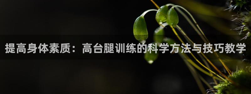 bbin视讯下