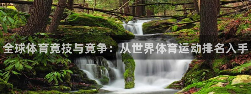 bbin视讯下