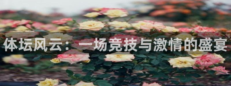 bbin视讯游戏平台