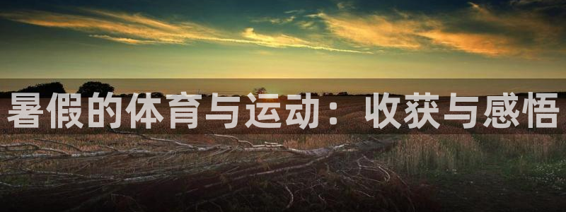 bbin视讯游戏平台
