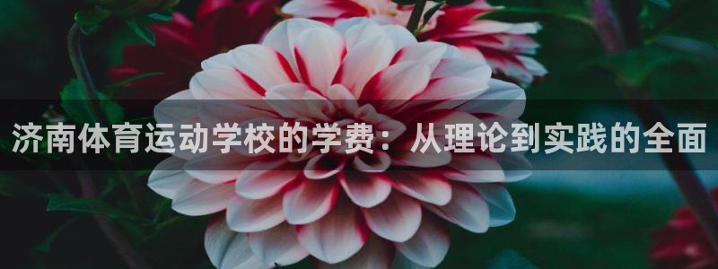 bbin视讯游戏官网