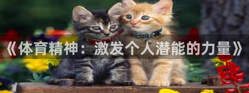 bbin视讯游戏官网