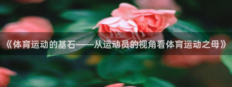 bbin视讯