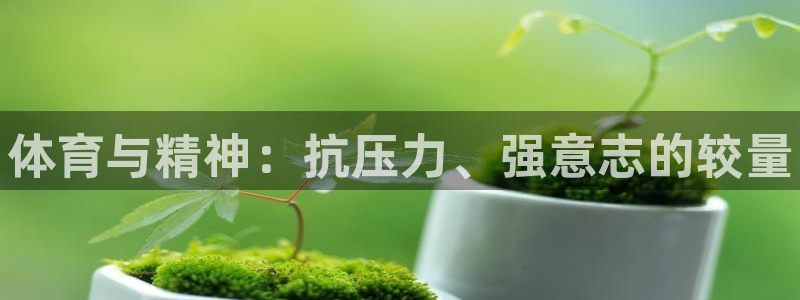 bbin视讯游戏平台