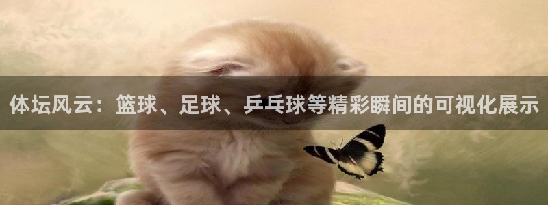 bbin视讯游戏官网