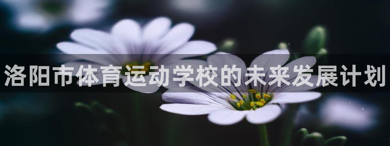 bbin视讯下