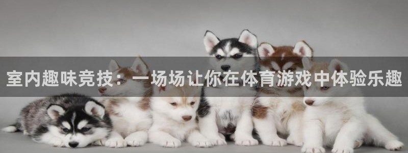bbin视讯