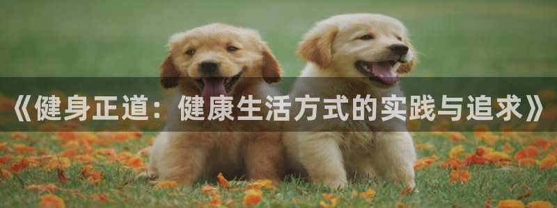 bbin视讯游戏平台
