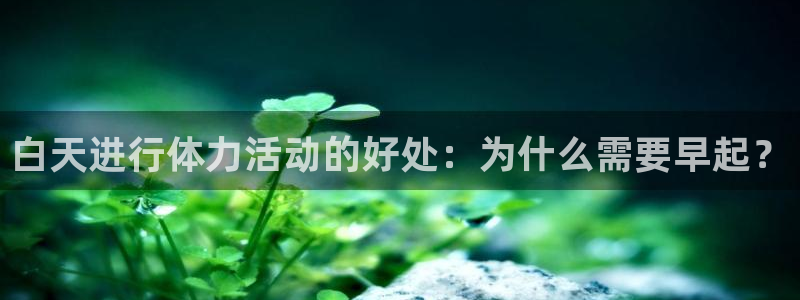 bbin视讯下