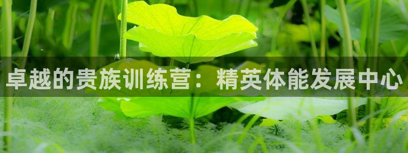 bbin视讯游戏官网