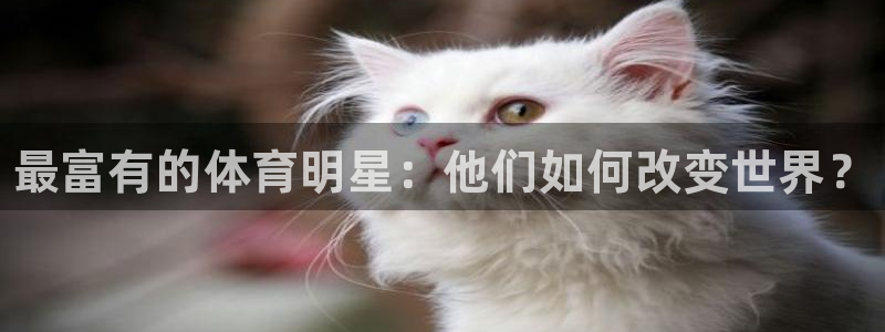bbin视讯