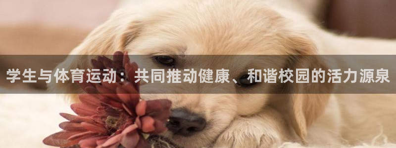 bbin视讯