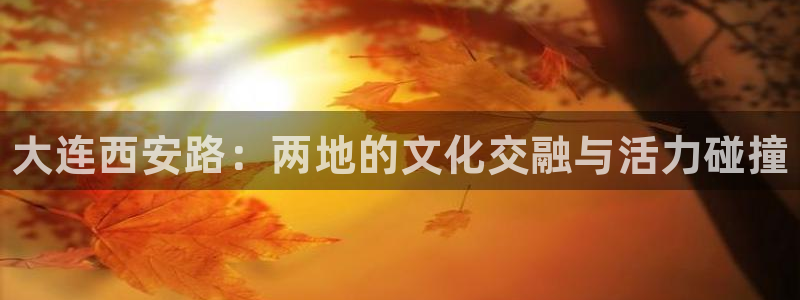bbin视讯游戏平台