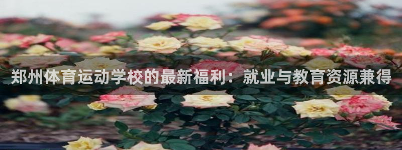 bbin视讯下