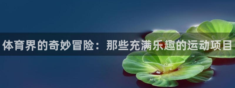 bbin视讯游戏平台