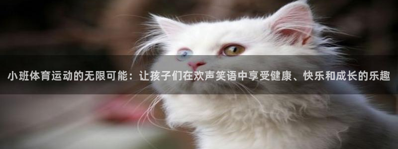 bbin视讯下