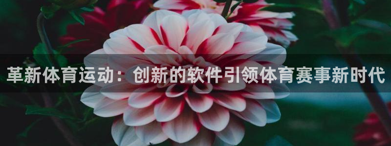 bbin视讯下