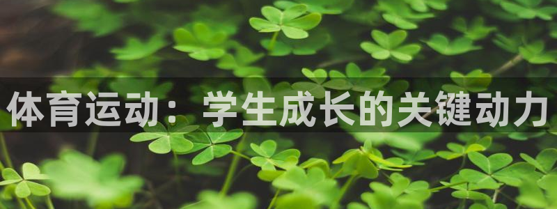 bbin视讯下