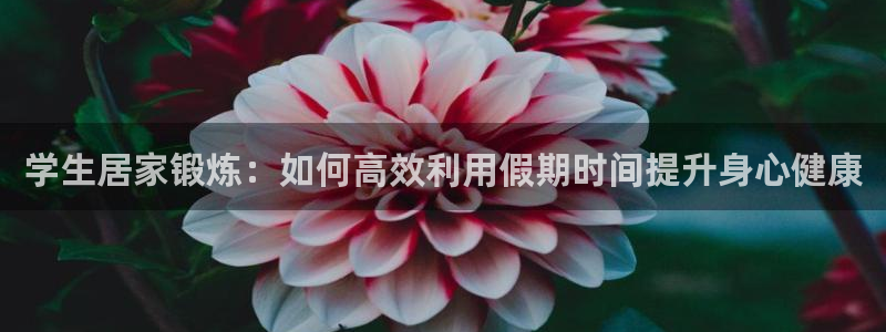 bbin视讯下