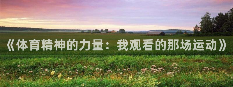 bbin视讯游戏平台