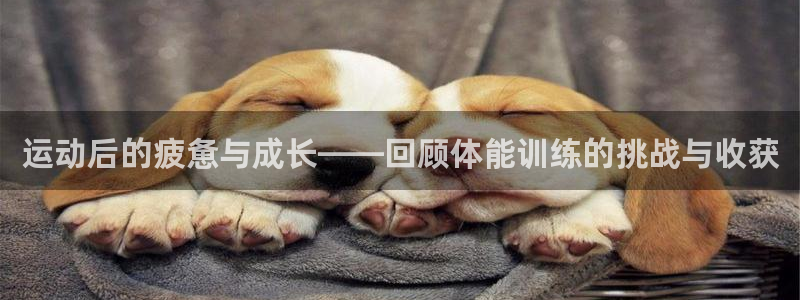 bbin视讯下