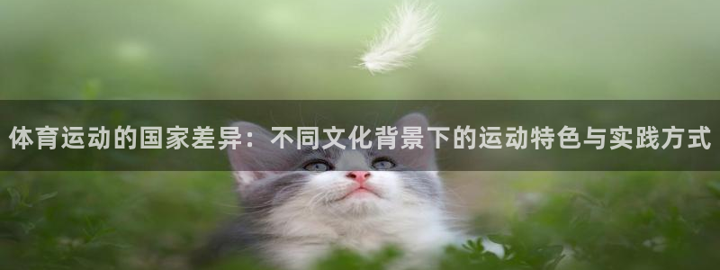 bbin视讯下